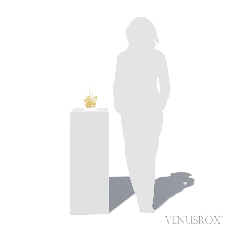 Golden Quartz Natural Cluster | Venusrox