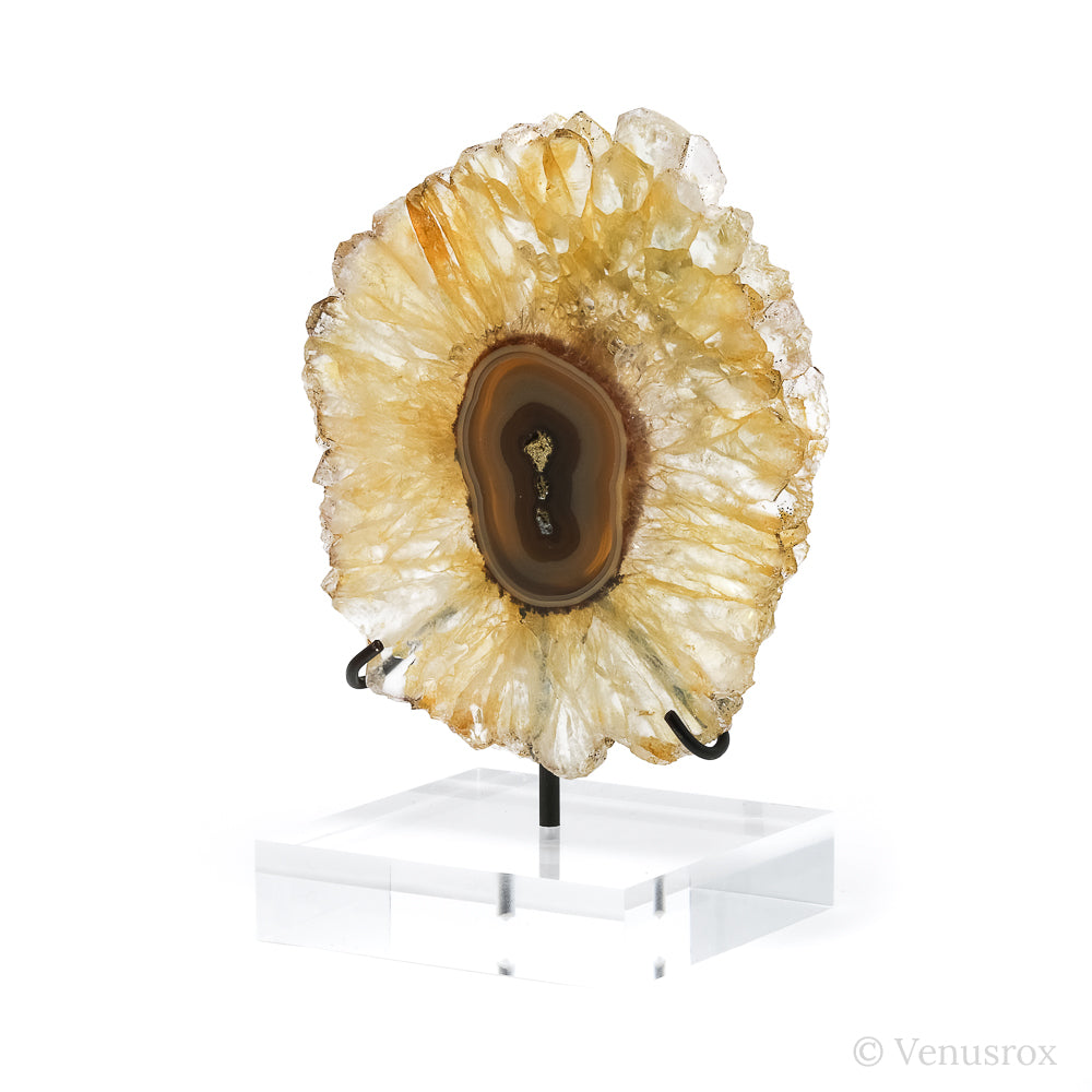 Golden Quartz with Agate Polished Slice from Brazil mounted on a bespoke stand | Venusrox