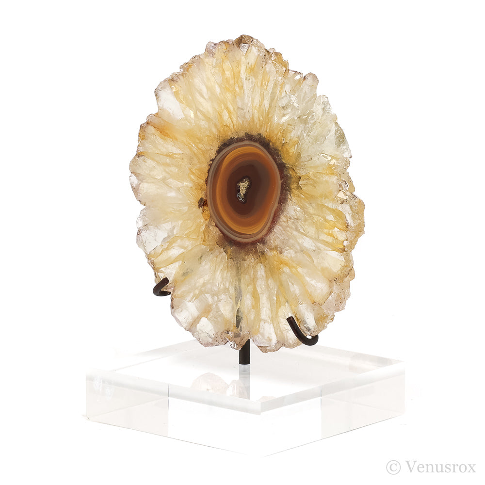 Golden Quartz with Agate Polished Slice from Brazil mounted on a bespoke stand | Venusrox