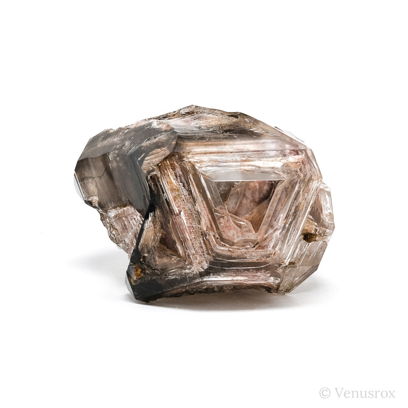 Smoky Elestial Fenster Quartz Natural Point from Brazil | Venusrox
