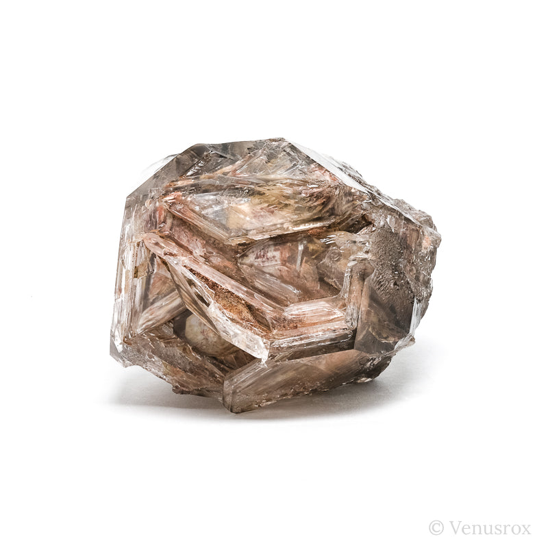 Smoky Elestial Fenster Quartz Natural Point from Brazil | Venusrox