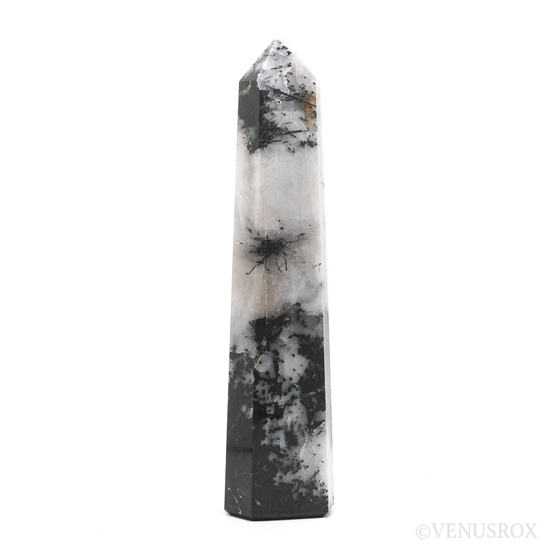Ocean Jasper Egg from Madagascar | Venusrox