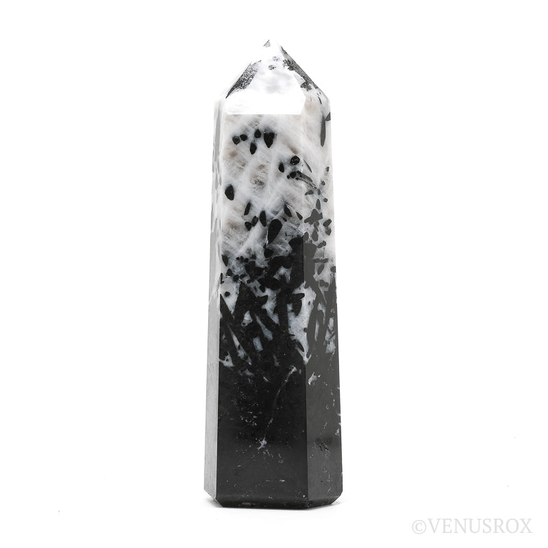 Ocean Jasper Egg from Madagascar | Venusrox