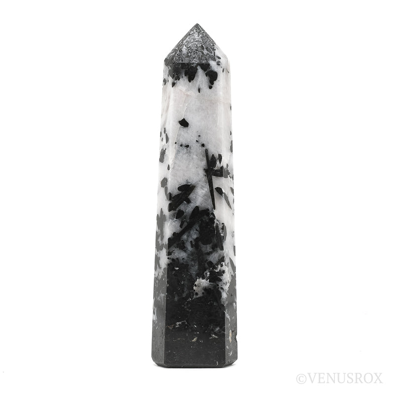 Ocean Jasper Egg from Madagascar | Venusrox