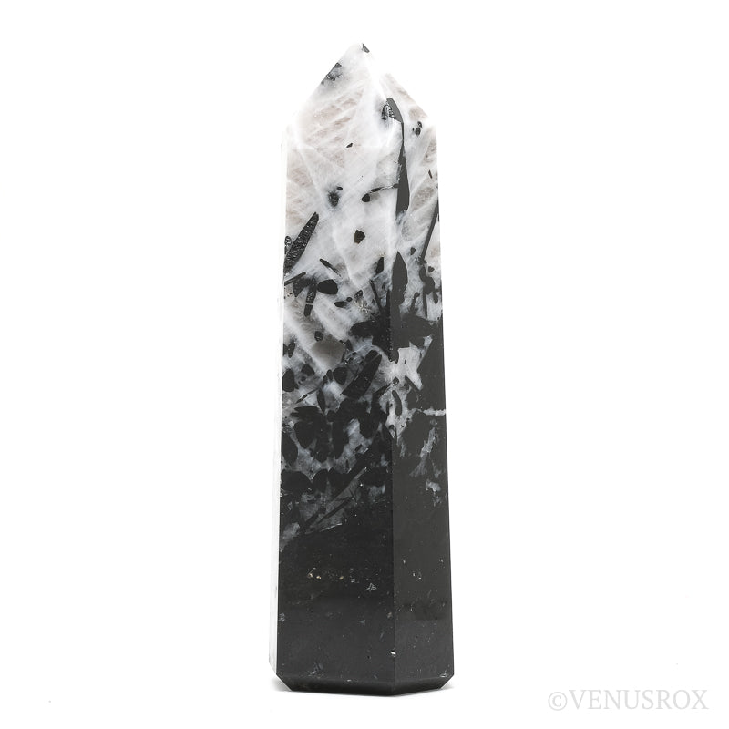 Ocean Jasper Egg from Madagascar | Venusrox