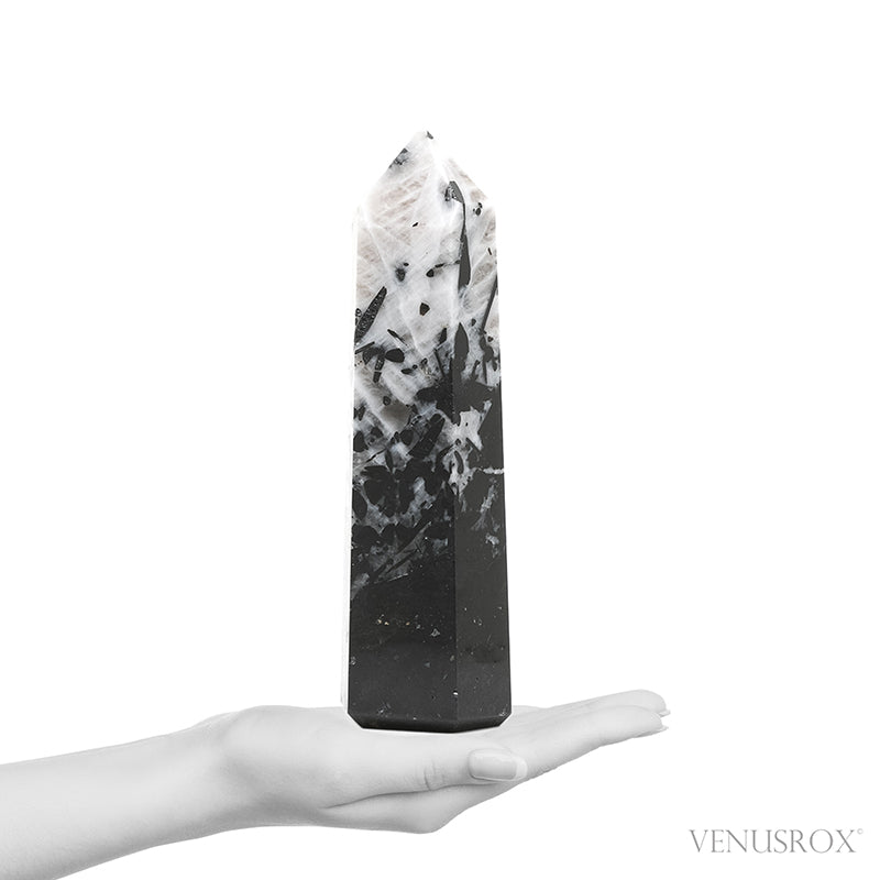 Ocean Jasper Egg from Madagascar | Venusrox