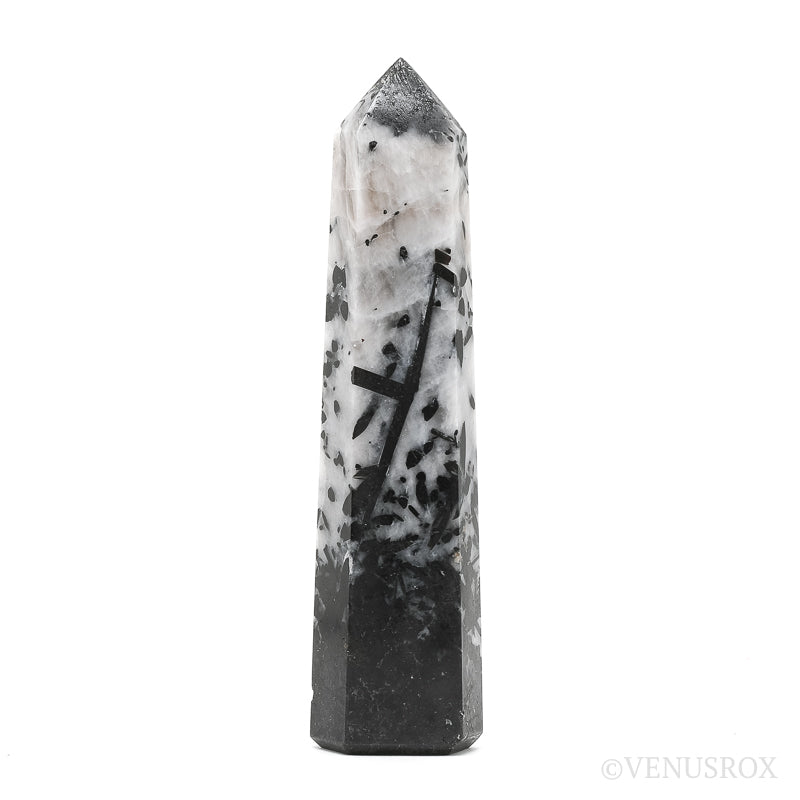 Ocean Jasper Egg from Madagascar | Venusrox