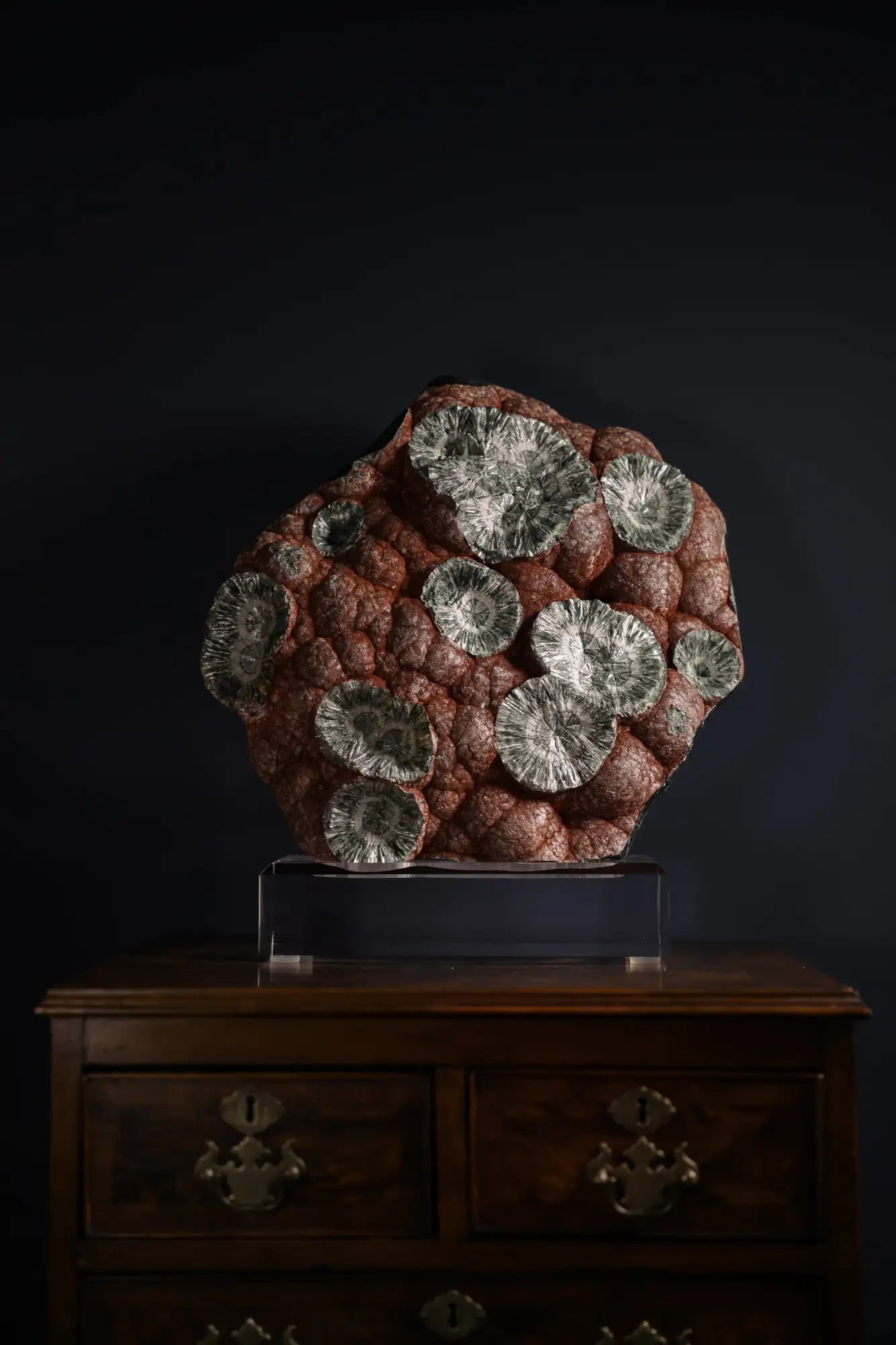 A striking reddish-brown fossilized coral specimen with numerous metallic silver circular formations, displayed on a clear acrylic stand.