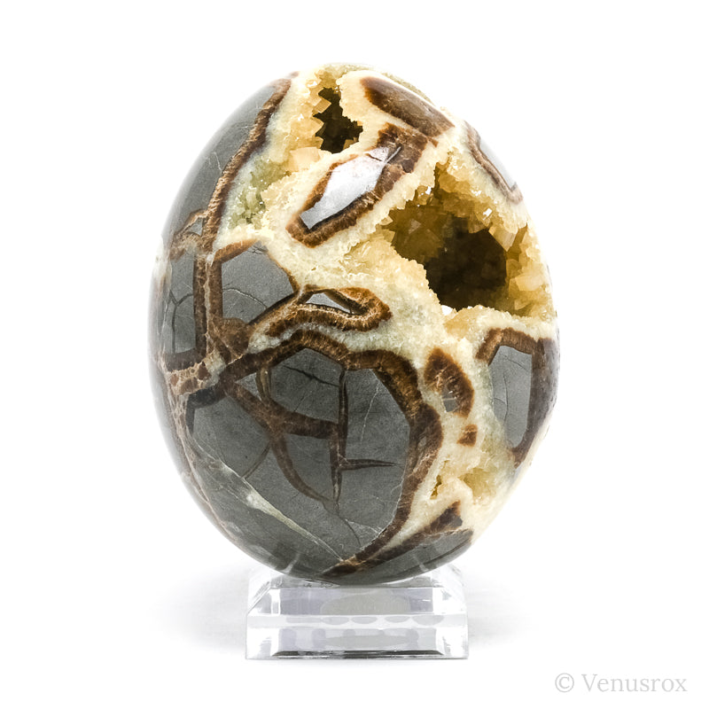 Septarian Geode Egg from Utah, USA | Venusrox