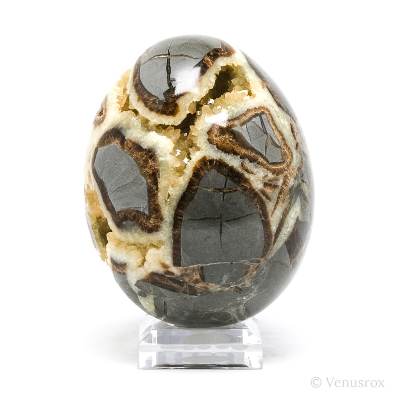 Septarian Geode Egg from Utah, USA | Venusrox