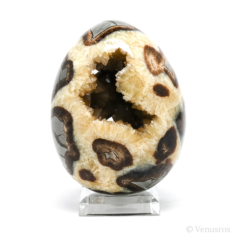 Septarian Geode Egg from Utah, USA | Venusrox