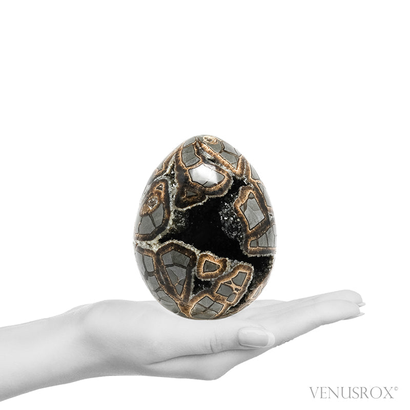 SEPTARIAN GEODE EGG - EGGS