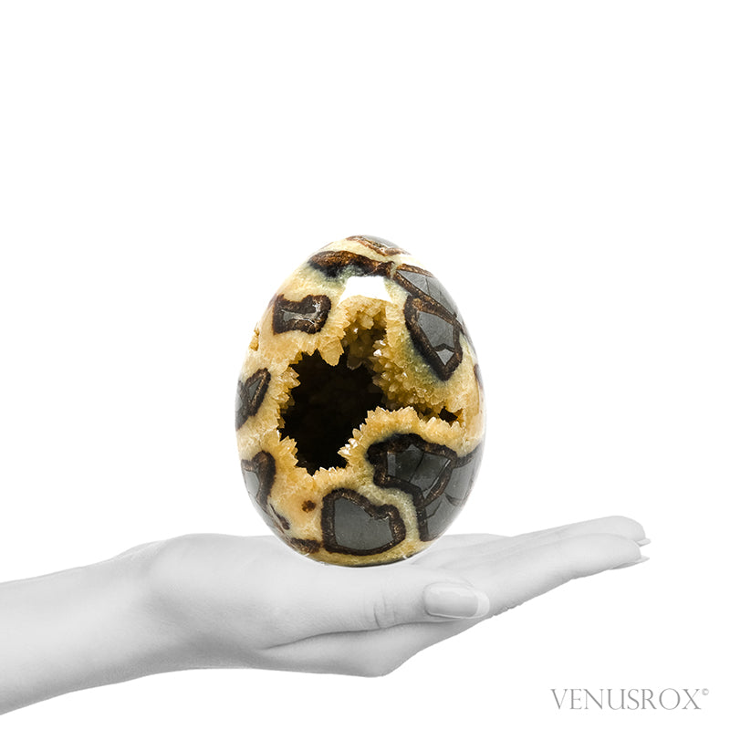 Septarian Geode Egg from Utah, USA | Venusrox