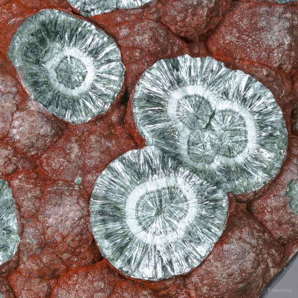 Seraphinite Polished/Natural Crystal from Korshunovskoye Iron Scary Deposit, Irkutskaya Oblast, Siberia, Russia mounted on a bespoke stand | Venusrox
