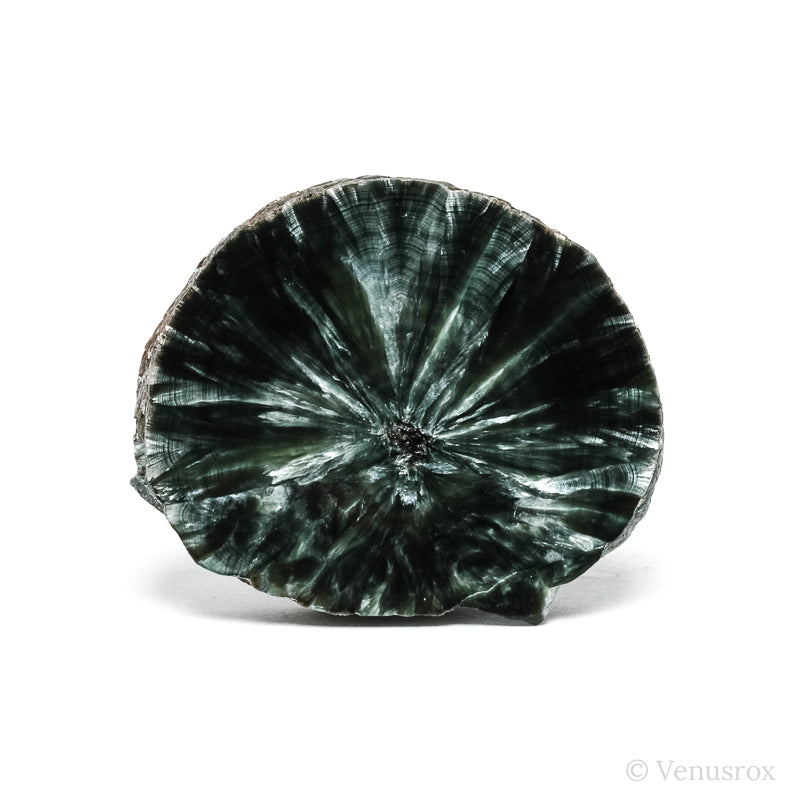 Seraphinite Polished/Natural Slice from the Korshunovskoye Iron Scary Deposit, Irkutskaya Oblast, Siberia, Russia | Venusrox