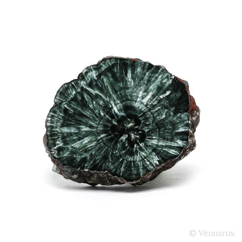 Seraphinite Polished/Natural Slice from the Korshunovskoye Iron Scary Deposit, Irkutskaya Oblast, Siberia, Russia | Venusrox