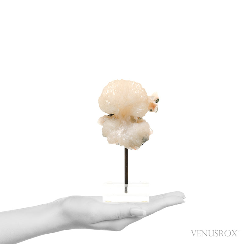 Stilbite Natural Cluster from India mounted on a bespoke stand | Venusrox