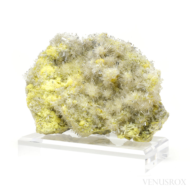 Sulphur with Celestite Natural Specimen from the Machów Mine, Tarnobrzeg, Subcarpathian Voivodeship, Poland mounted on a bespoke stand | Venusrox