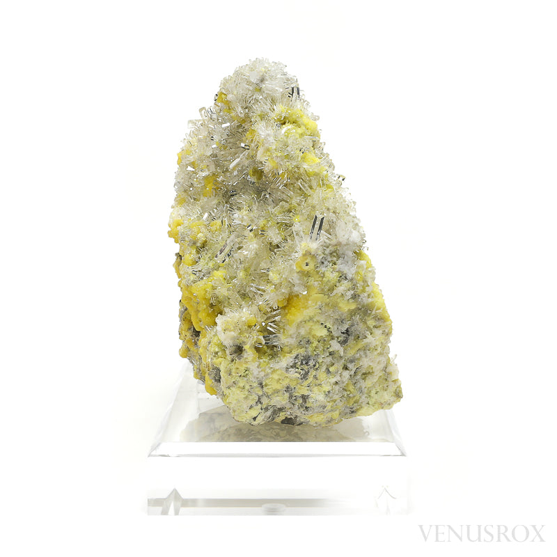 Sulphur with Celestite Natural Specimen from the Machów Mine, Tarnobrzeg, Subcarpathian Voivodeship, Poland mounted on a bespoke stand | Venusrox