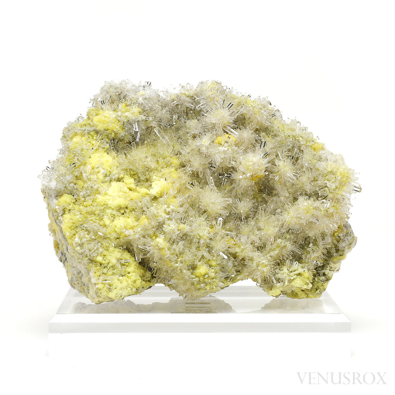 Sulphur with Celestite Natural Specimen from the Machów Mine, Tarnobrzeg, Subcarpathian Voivodeship, Poland mounted on a bespoke stand | Venusrox