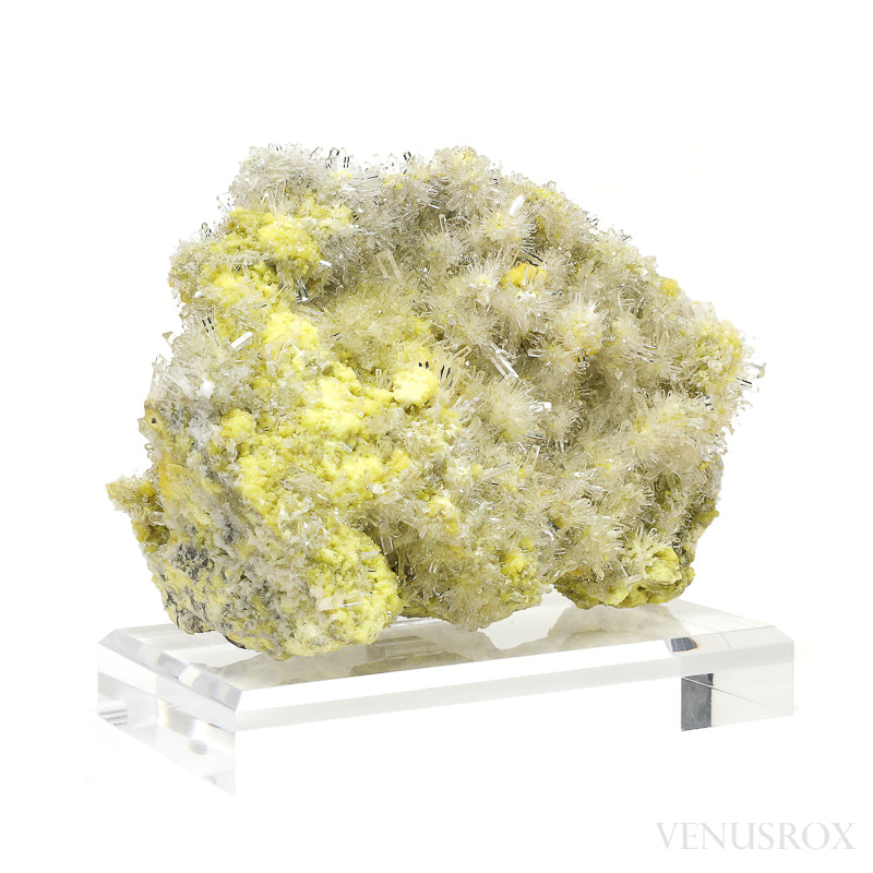 Sulphur with Celestite Natural Specimen from the Machów Mine, Tarnobrzeg, Subcarpathian Voivodeship, Poland mounted on a bespoke stand | Venusrox