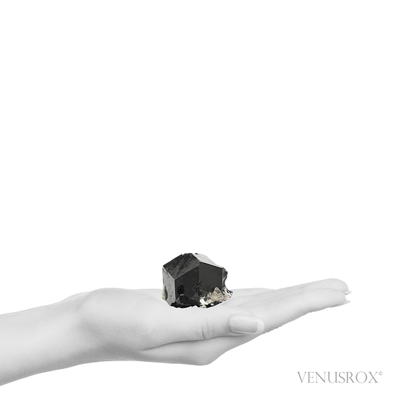Black Tourmaline with Smoky Quartz Natural Cluster from the Erongo Mountains, Namibia | Venusrox