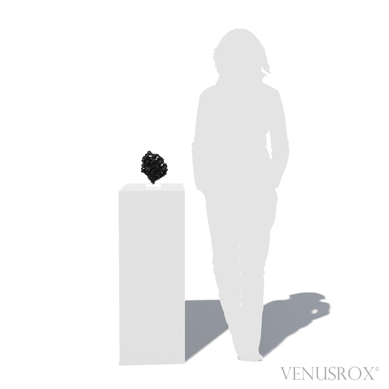 Black Tourmaline with Smoky Quartz & Hyalite Opal Natural Cluster from the Erongo Mountains, Namibia mounted on a bespoke stand | Venusrox