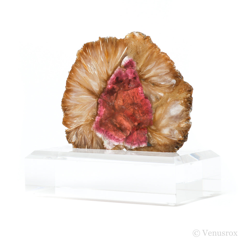 Pink Tourmaline with Mica Polished Slice from the Malkhan Pegmatite Field, Krasnyi Chikoy, Chitinskaya Oblast, Transbaikal, Eastern Siberia, Russia mounted on a bespoke stand | Venusrox