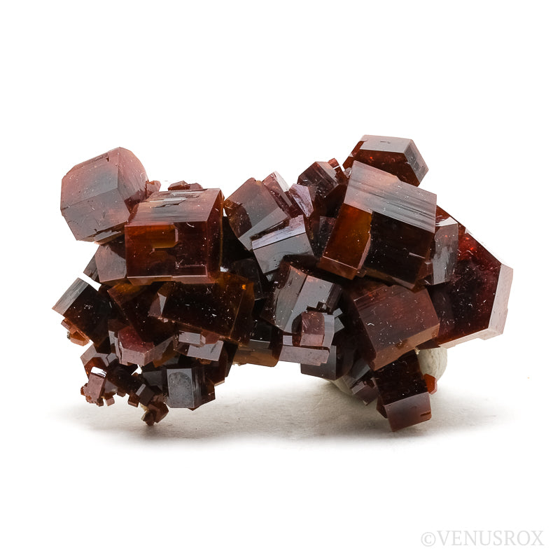 Vanadinite Natural Cluster from Mibladen, Midelt, Meknes-Tafilalet Region, Morocco | Venusrox