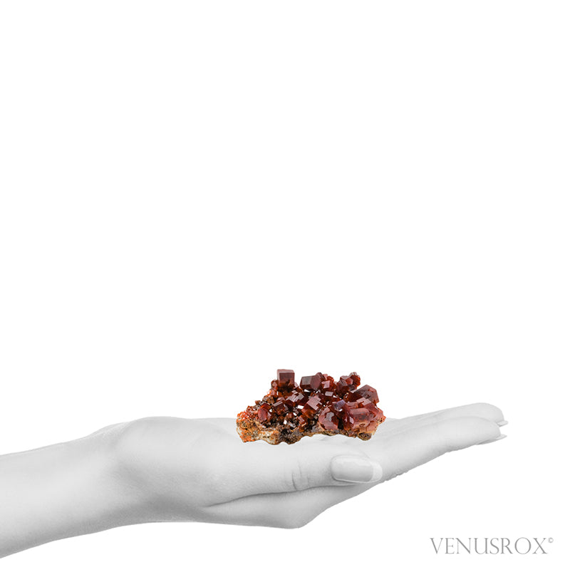 Vanadinite Natural Cluster from Mibladen, Midelt, Meknes-Tafilalet Region, Morocco | Venusrox