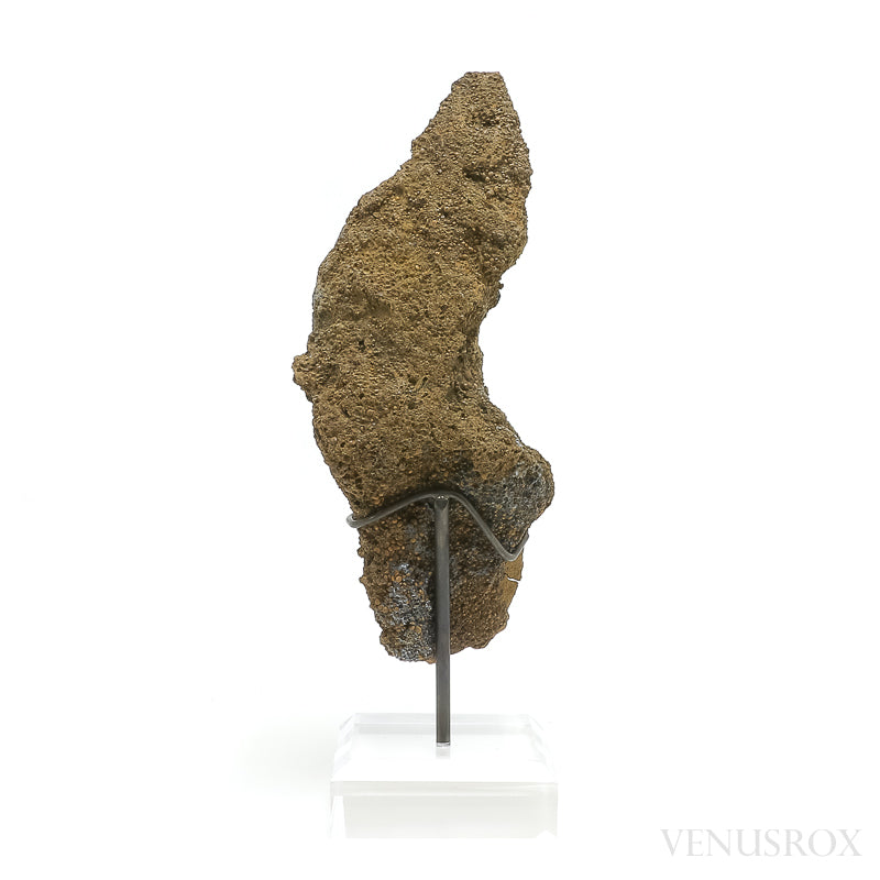 Vivianite with Matrix Natural Crystal from Brazil mounted on a bespoke stand | Venusrox