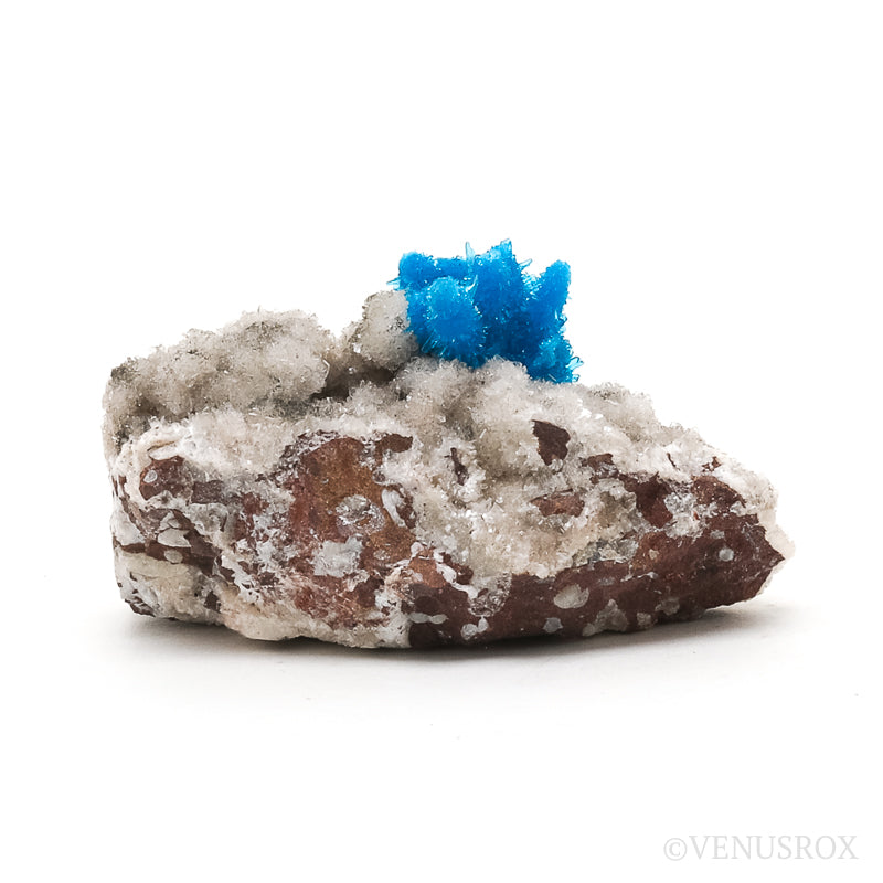 Pentagonite on Matrix Natural Cluster from the Pune District, Maharashtra, India | Venusrox