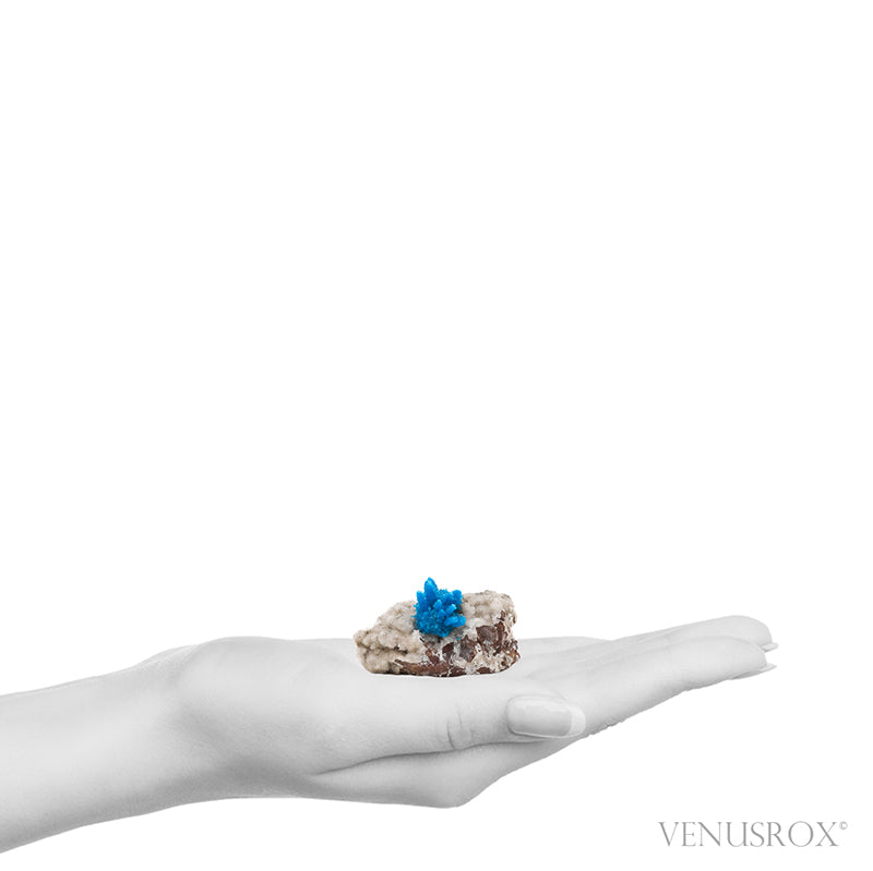 Pentagonite on Matrix Natural Cluster from the Pune District, Maharashtra, India | Venusrox