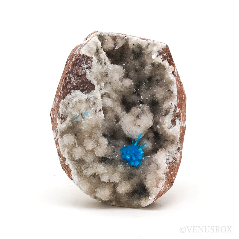 Pentagonite on Matrix Natural Cluster from the Pune District, Maharashtra, India | Venusrox