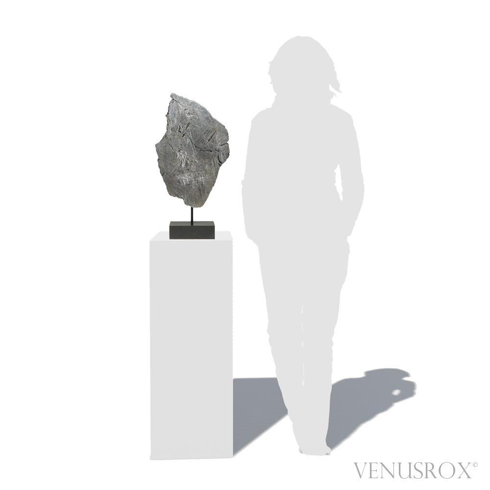 Seymchan Pallasite Meteorite Polished Slice from the Hekandue River, Jasačnaja, Magadan District, Russia, mounted on a bespoke stand | Venusrox