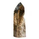 Rutilated Smoky Phantom Quartz Part Polished/Part Natural Point from Brazil | Venusrox