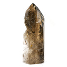 Rutilated Smoky Phantom Quartz Part Polished/Part Natural Point from Brazil | Venusrox