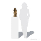 Rutilated Smoky Phantom Quartz Part Polished/Part Natural Point from Brazil | Venusrox