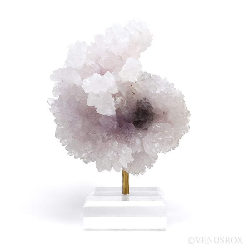 Amethyst Natural 'Flower' from Ametista do Sul, Alto Uruguai region, Rio Grande do Sul, Brazil, mounted on a bespoke stand | Venusrox