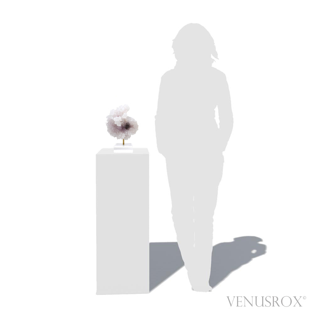 Amethyst Natural 'Flower' from Ametista do Sul, Alto Uruguai region, Rio Grande do Sul, Brazil, mounted on a bespoke stand | Venusrox