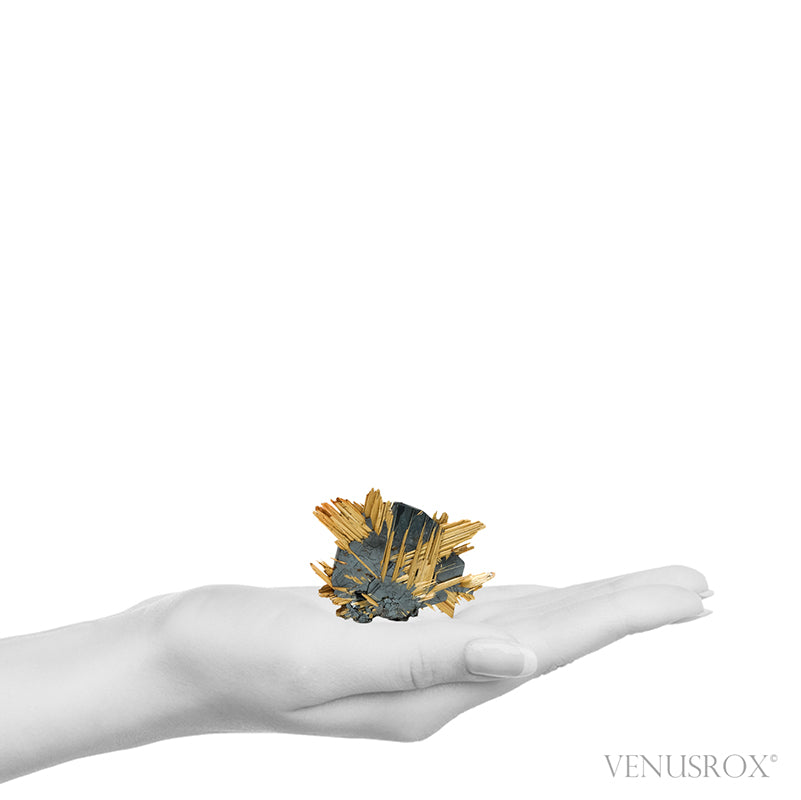 Golden Rutile on Hematite Natural Specimen from Novo Horizonte, Bahia, Brazil | Venusrox