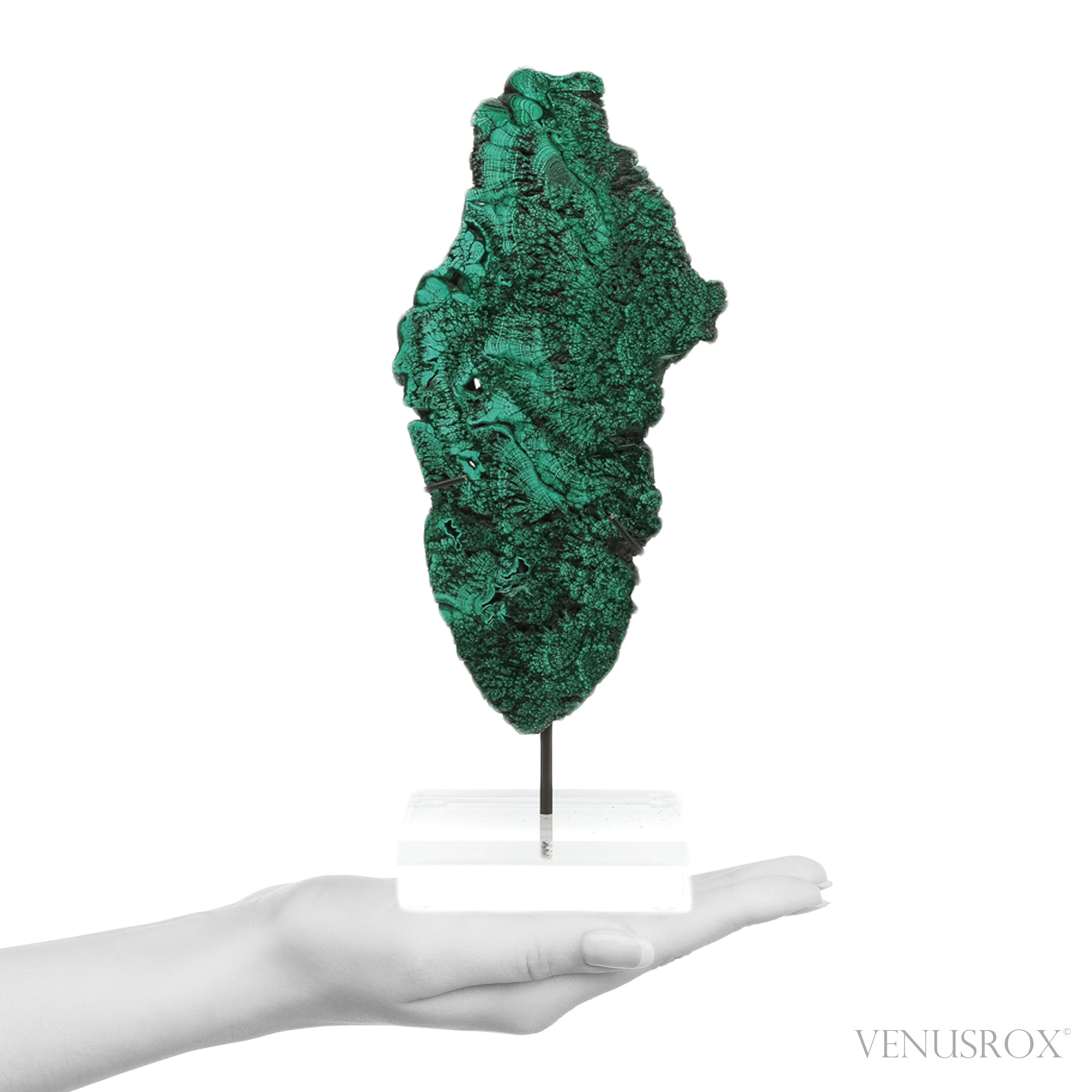 Malachite Slice | Venusrox