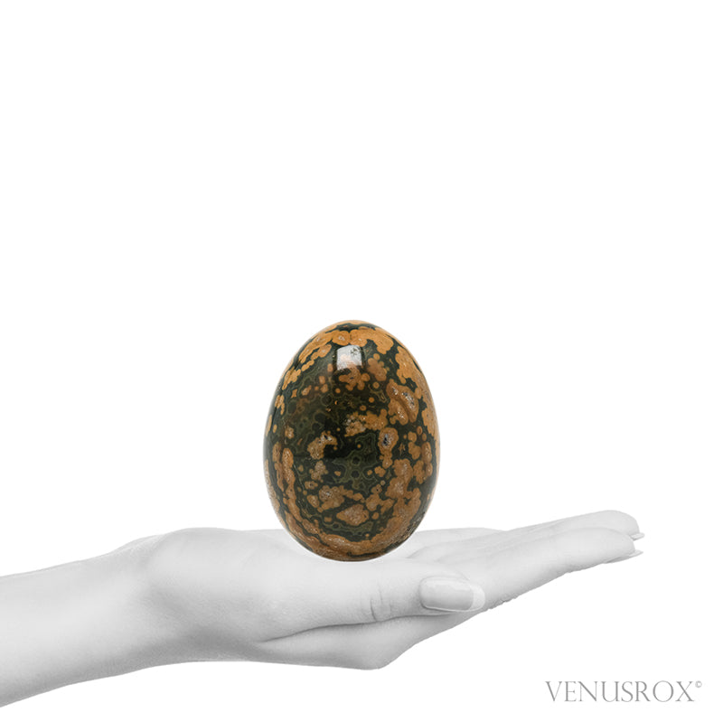 Ocean Jasper Egg from Madagascar | Venusrox
