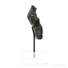 Sikhote-Alin Meteorite Shrapnel Fragment from the Sikhote-Alin Mountains, Russia mounted on a bespoke stand | Venusrox