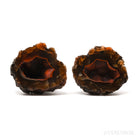 Red Fox Agate Polished/Natural Nodule Pair from Valle de las Plumas, Las Plumas, Mártires Department, Chubut Province, Argentina | Venusrox