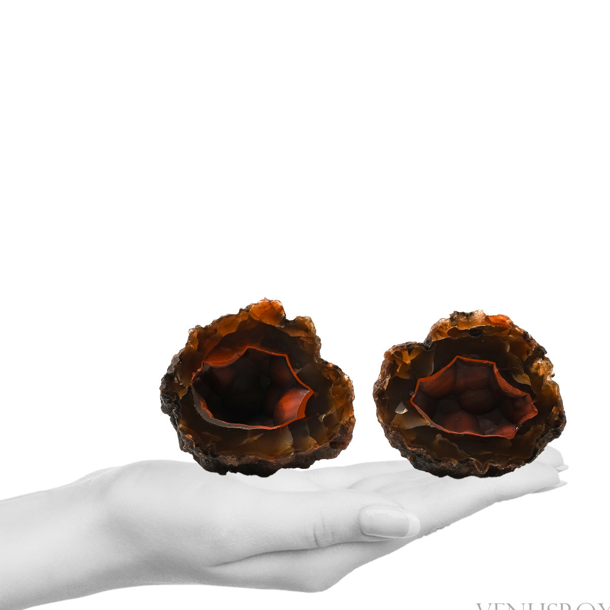 Red Fox Agate Polished/Natural Nodule Pair from Valle de las Plumas, Las Plumas, Mártires Department, Chubut Province, Argentina | Venusrox