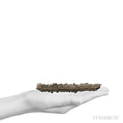 Fulgurite from North Africa | Venusrox