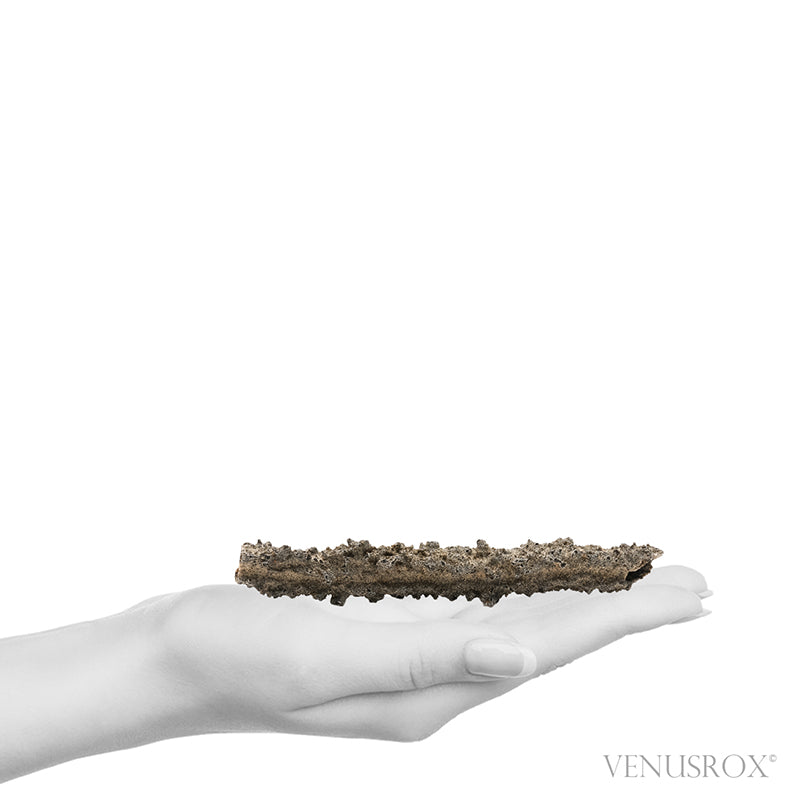 Fulgurite from North Africa | Venusrox