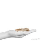 Fulgurite from North Africa | Venusrox