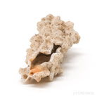 Fulgurite from North Africa | Venusrox